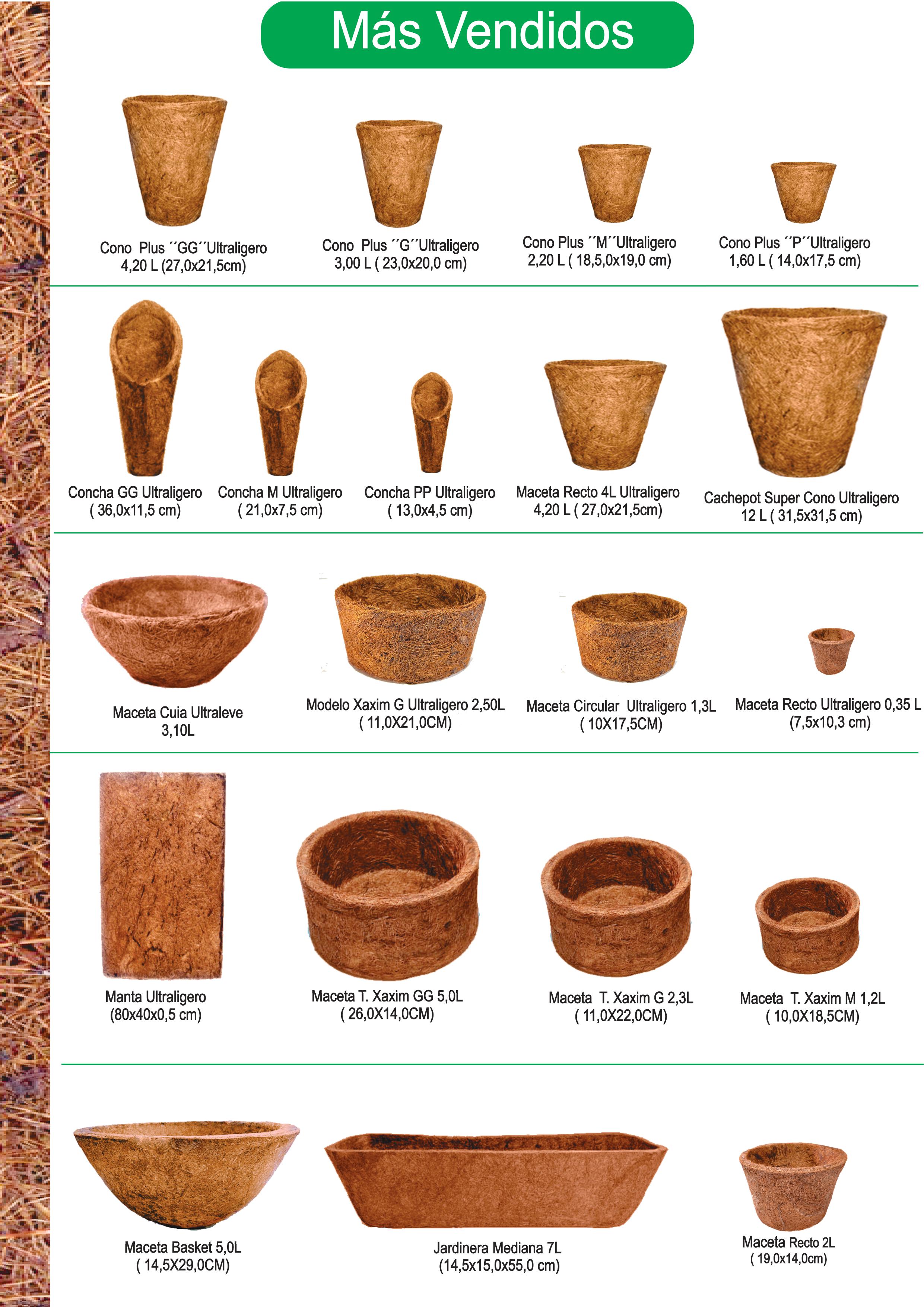 catalogo de lanzamientos